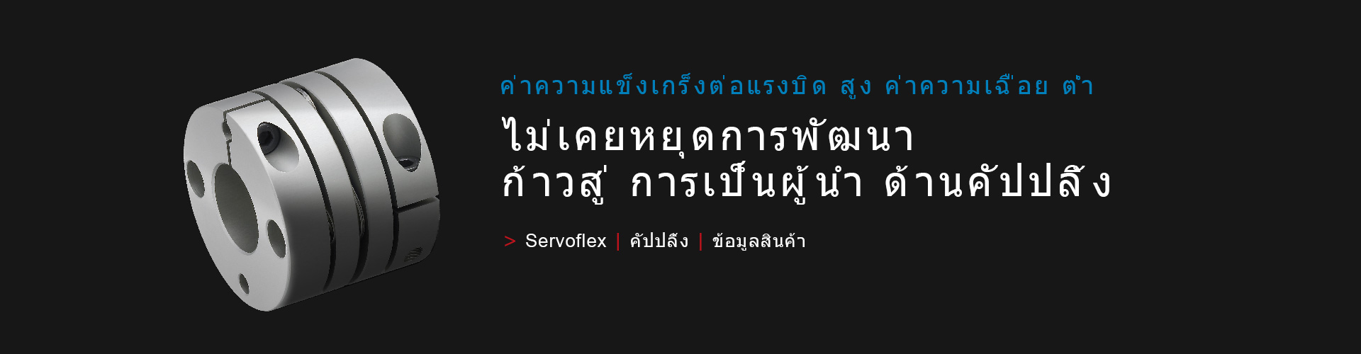 SERVOFLEX/คัปปลิ้ง 